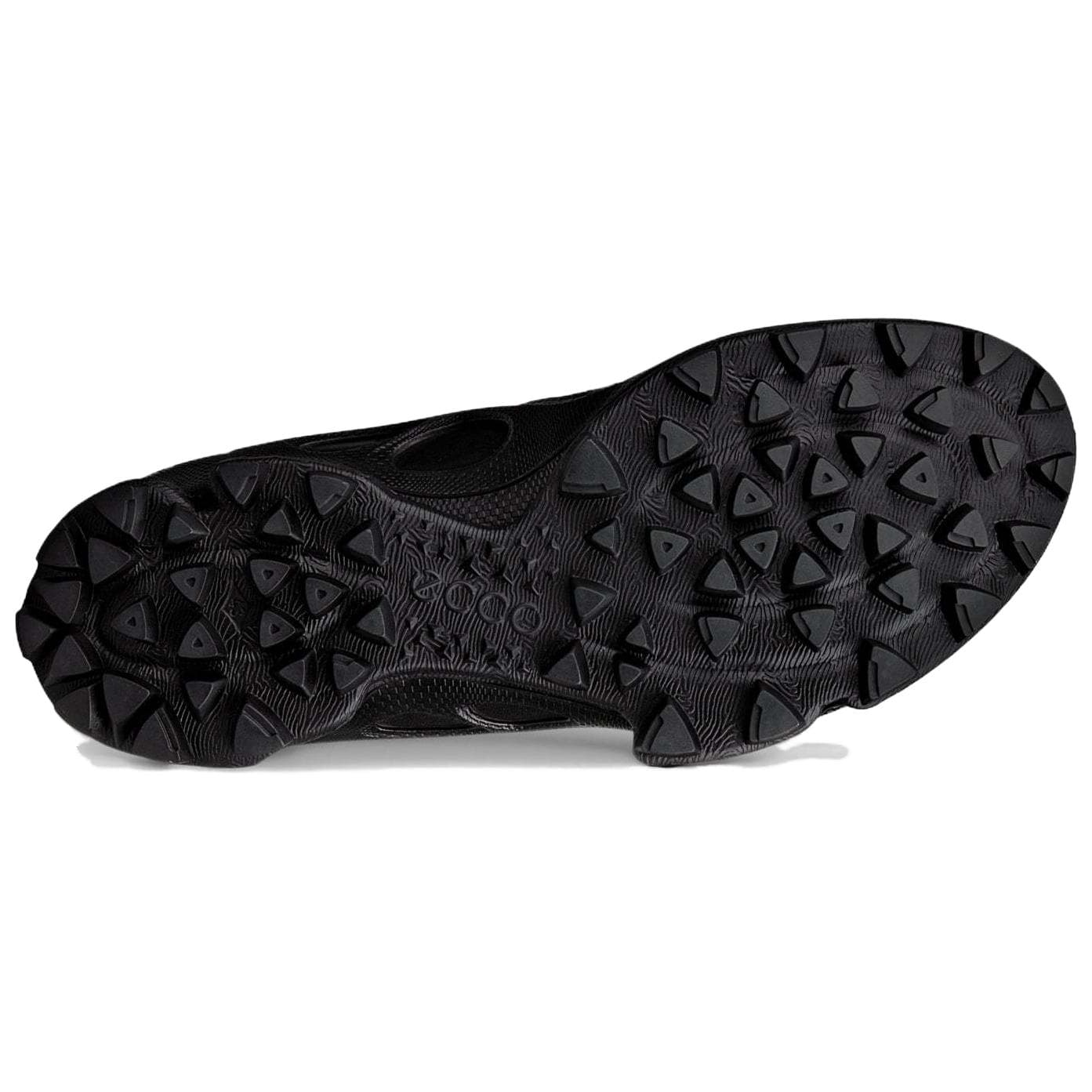Ecco Biom CTrail