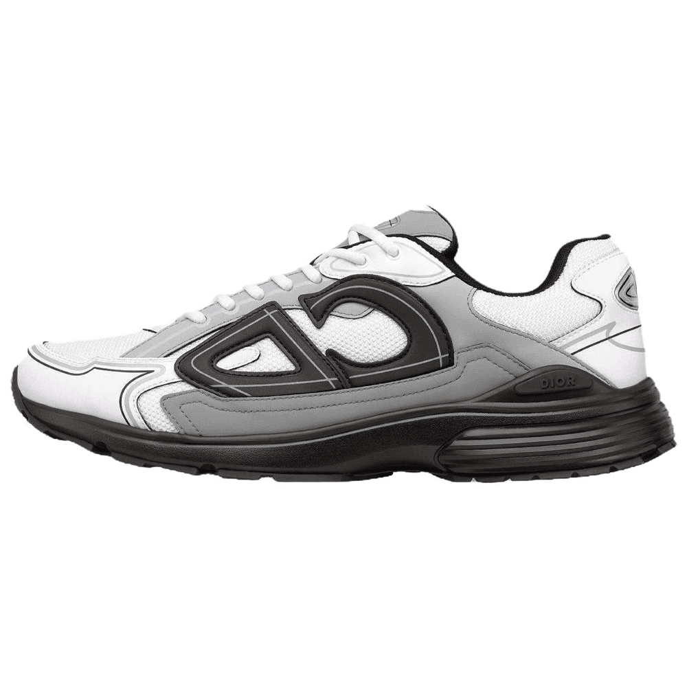 DIOR B30 Countdown Lowtop White Gray