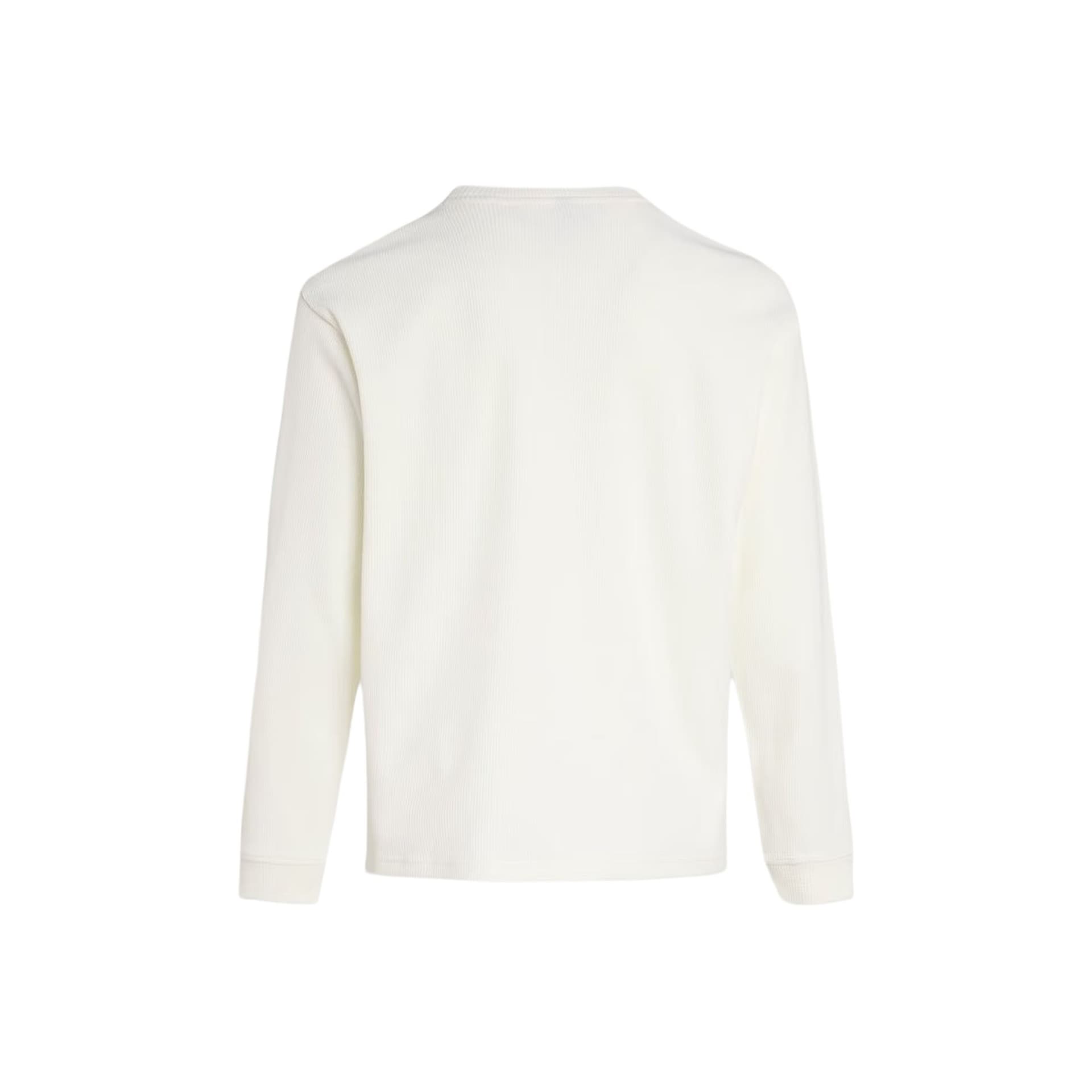 Adidas TShirts White Crew Neck Moderate Straight Fit