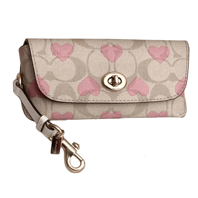 COACH Sunglass Case Canvas With Eyeglass Pouch Small Gold & Multicolor