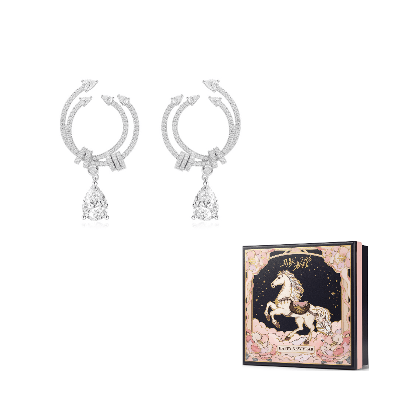 Apm Monaco FESTIVAL Earrings Silver