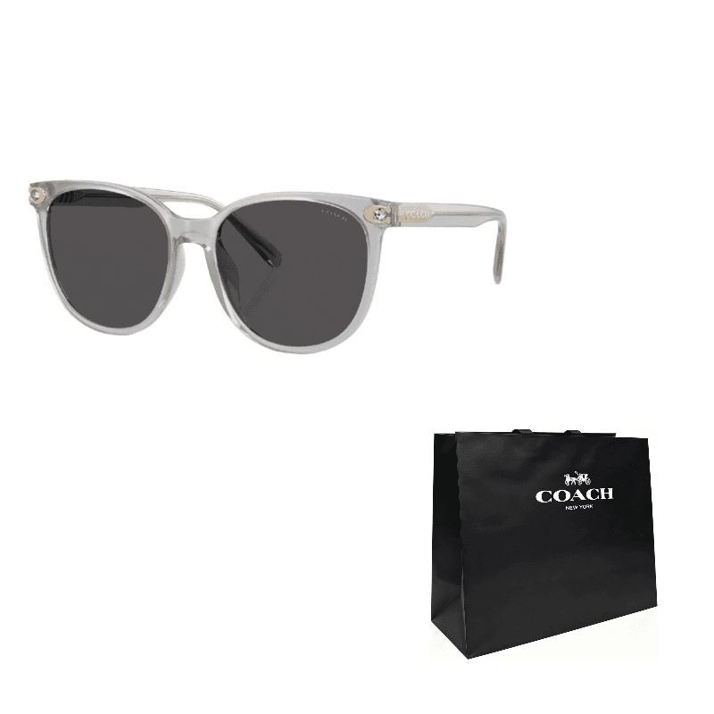 COACH Plate Round Sunglasses Transparent Gray