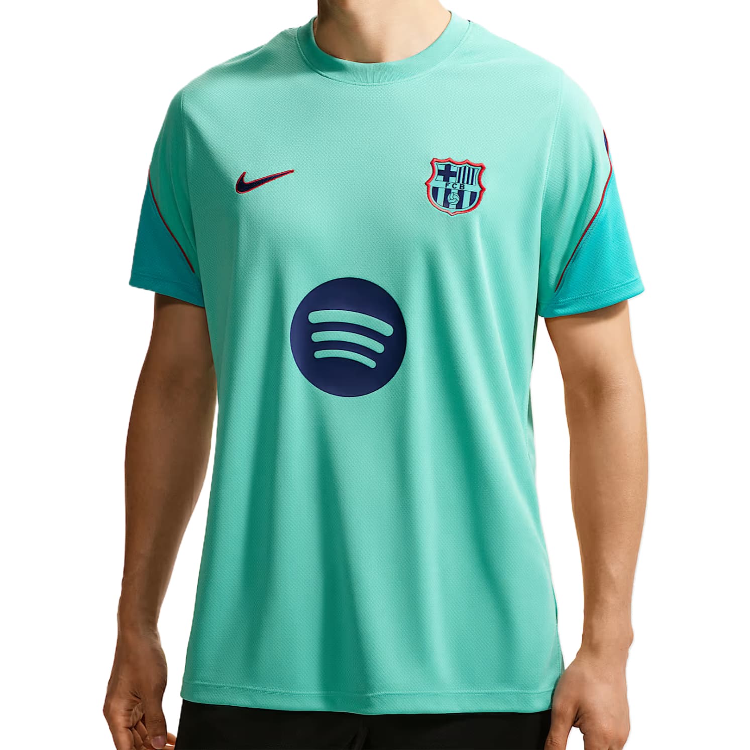 Nike DriFit Strike Soccer Jerseys Frost Green/Cactus Green/Royal Blue/Royal Blue Crew Neck Moderate