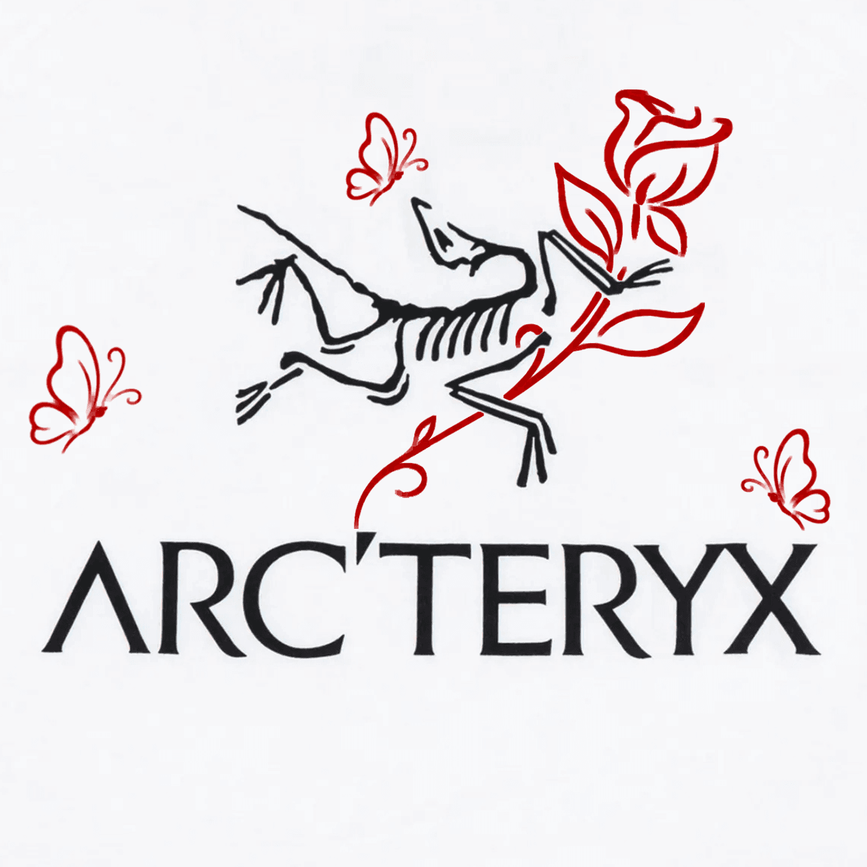 Arcteryx KRAGG TShirts White Light (Runs Large, Recommend Ordering One Size Down) Crew Neck Thin