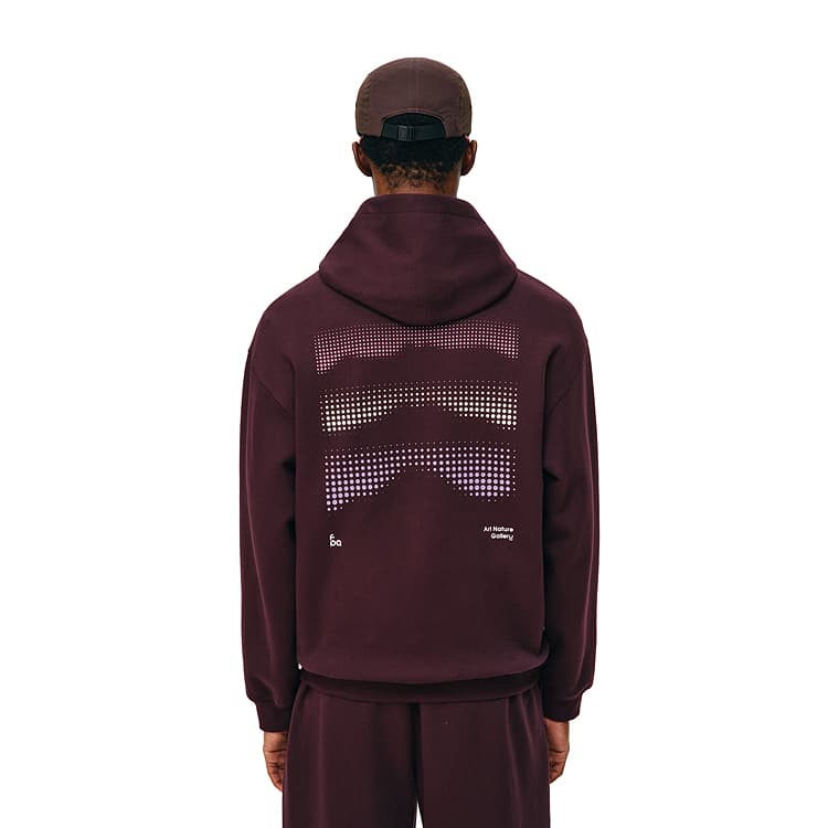 FPA Sweatshirts Hooded (Nondetachable) Moderate Straight Fit