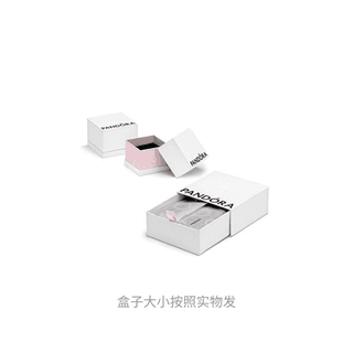 Pandora 925 Sterling Silver Accessories Silver