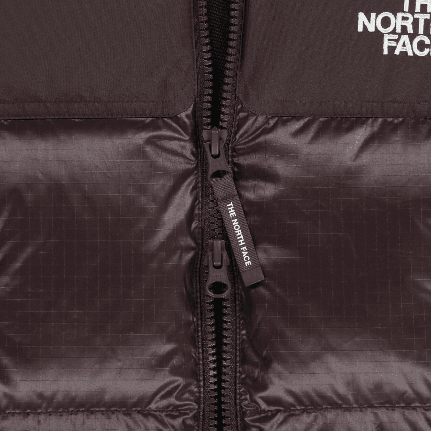 THE NORTH FACE NOVELTY FW25 Down Jacket