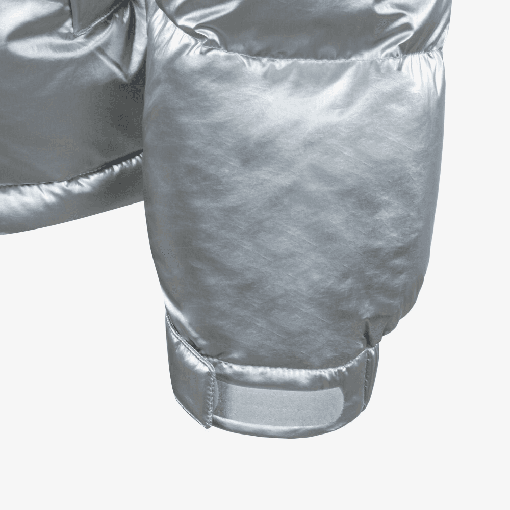THE NORTH FACE Down Jacket