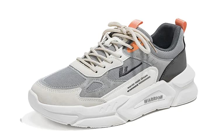 Warrior Gray