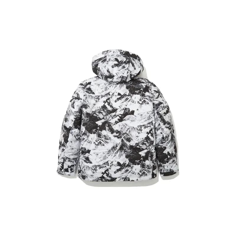 THE NORTH FACE Down Jackets & Men Mountain White With Free Shopping Bag