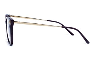 CARTIER Eyewear Wayfarerframe