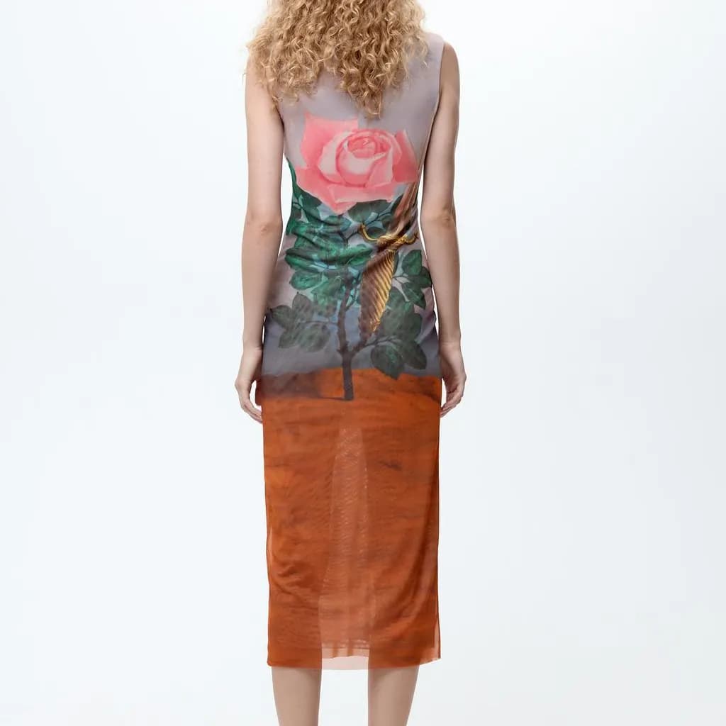 ZARA x YISHUJIA,LIANMINGKUAN Dress Print