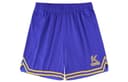 Warrior Blue
