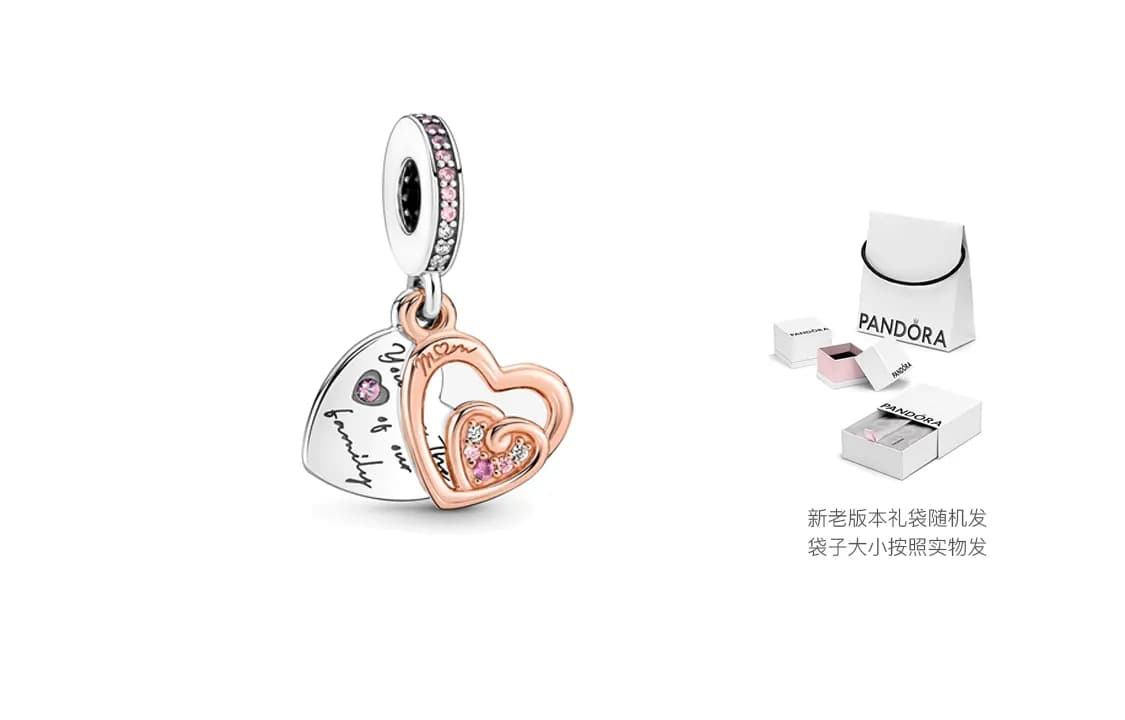 Pandora Accessories Shopping Bag