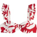 Red Print