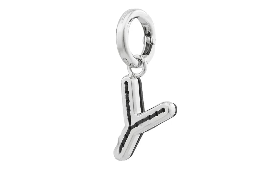 Burberry Bronze Accessories Silver