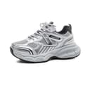 Silver Gray