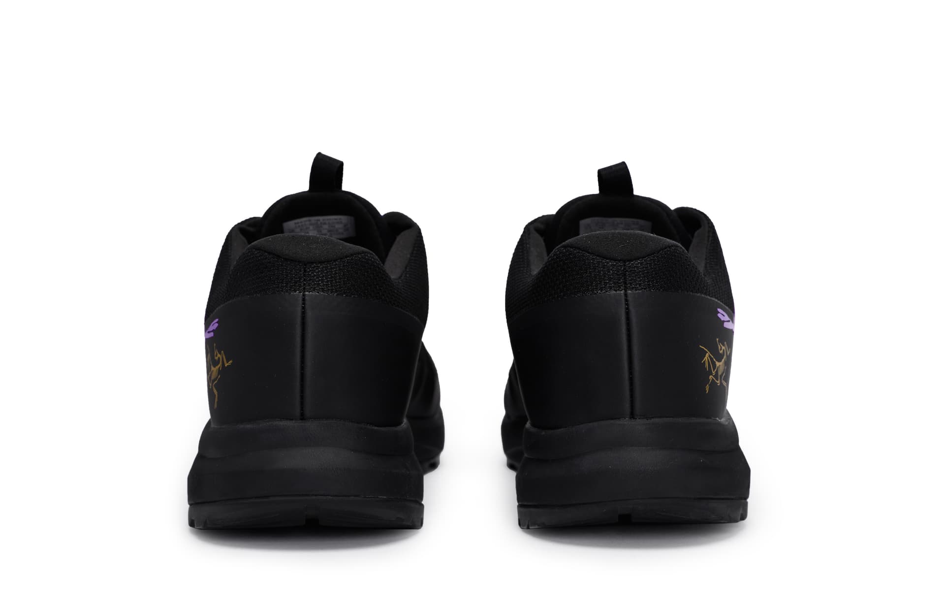 Arcteryx Aerios Fl 2 Resistant, Resistant, Breathable Outdoor Black Purple