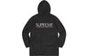 Supreme X Polartec Lined Sidline Parka