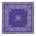 THE NORTH FACE Original Design Cotton Headwraps Purple