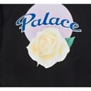 Palace Y 3 Track