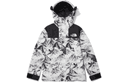 THE NORTH FACE Novelty Eco Gtx Mountain Jacket Nutral Gray Korea Version