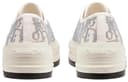 DIOR Walk'n'Dior Gray