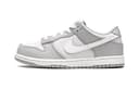 Nike Dunk Grey Kids' Gray White Kids'