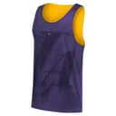 Nike Jerseys Field Purple/Amarillo Crew Neck Moderate