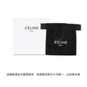 CELINE Triomphe Brass Necklaces Silver