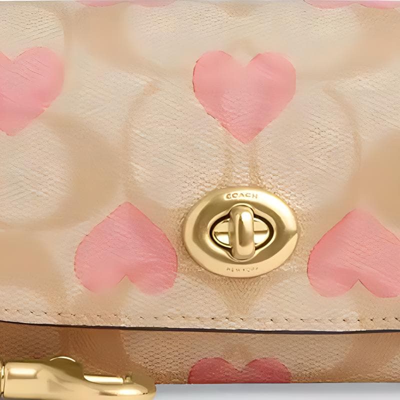 COACH Sunglass Case Canvas With Eyeglass Pouch Small Gold & Multicolor