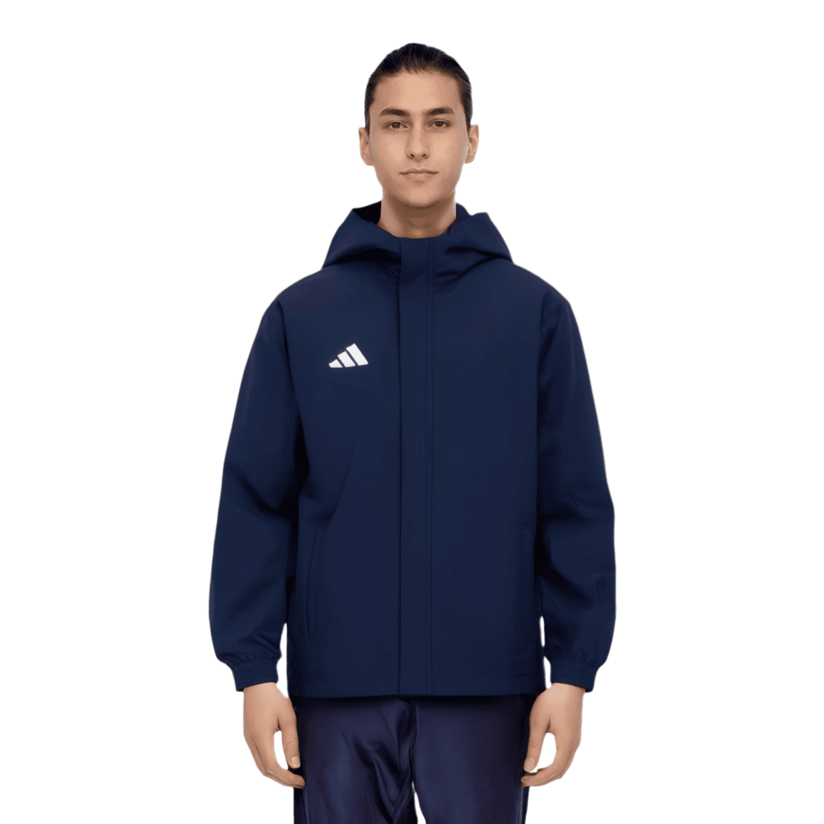 Adidas Entrada 22 SP AW Jacket