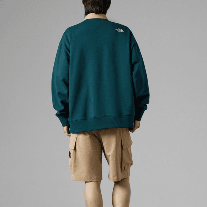 THE NORTH FACE Urban Exploration Sweatshirts Blue Crew Neck Moderate Regular