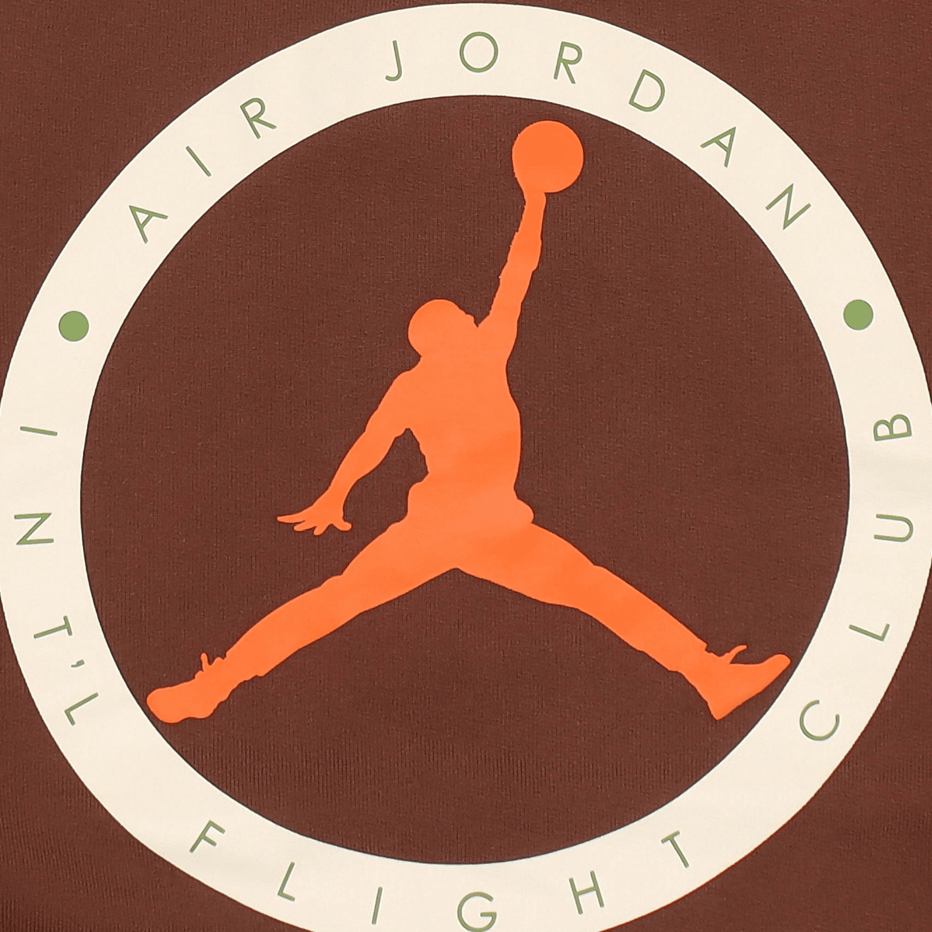 Jordan Sweatshirts Brown Hooded Moderate Straight Fit