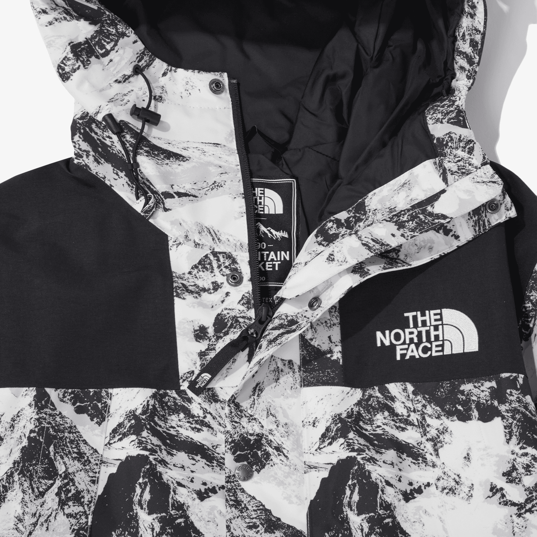 THE NORTH FACE Novelty Eco Gtx Mountain Jacket Nutral Gray Korea Version