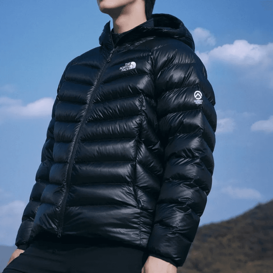 THE NORTH FACE Summit Down Jacket