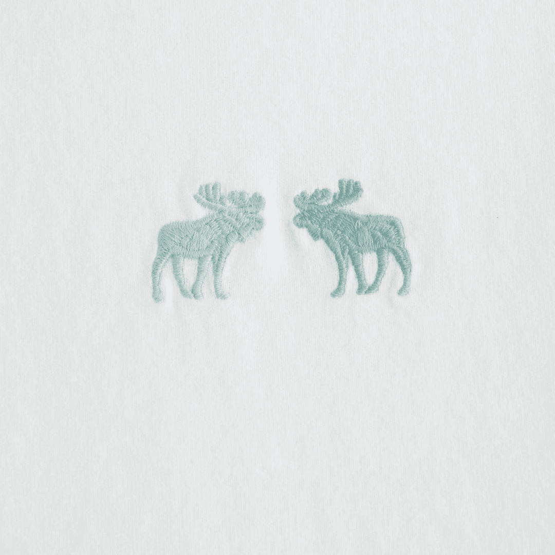 AbercrombieFitch T Shirt White