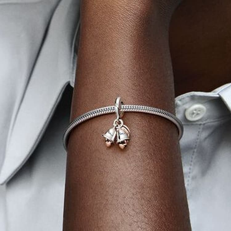 Pandora Accessories Silver/Rose Gold