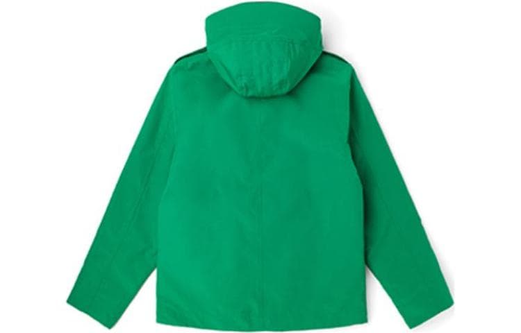 LACOSTE Jackets Green Hooded (Nondetachable) Moderate Straight Fit