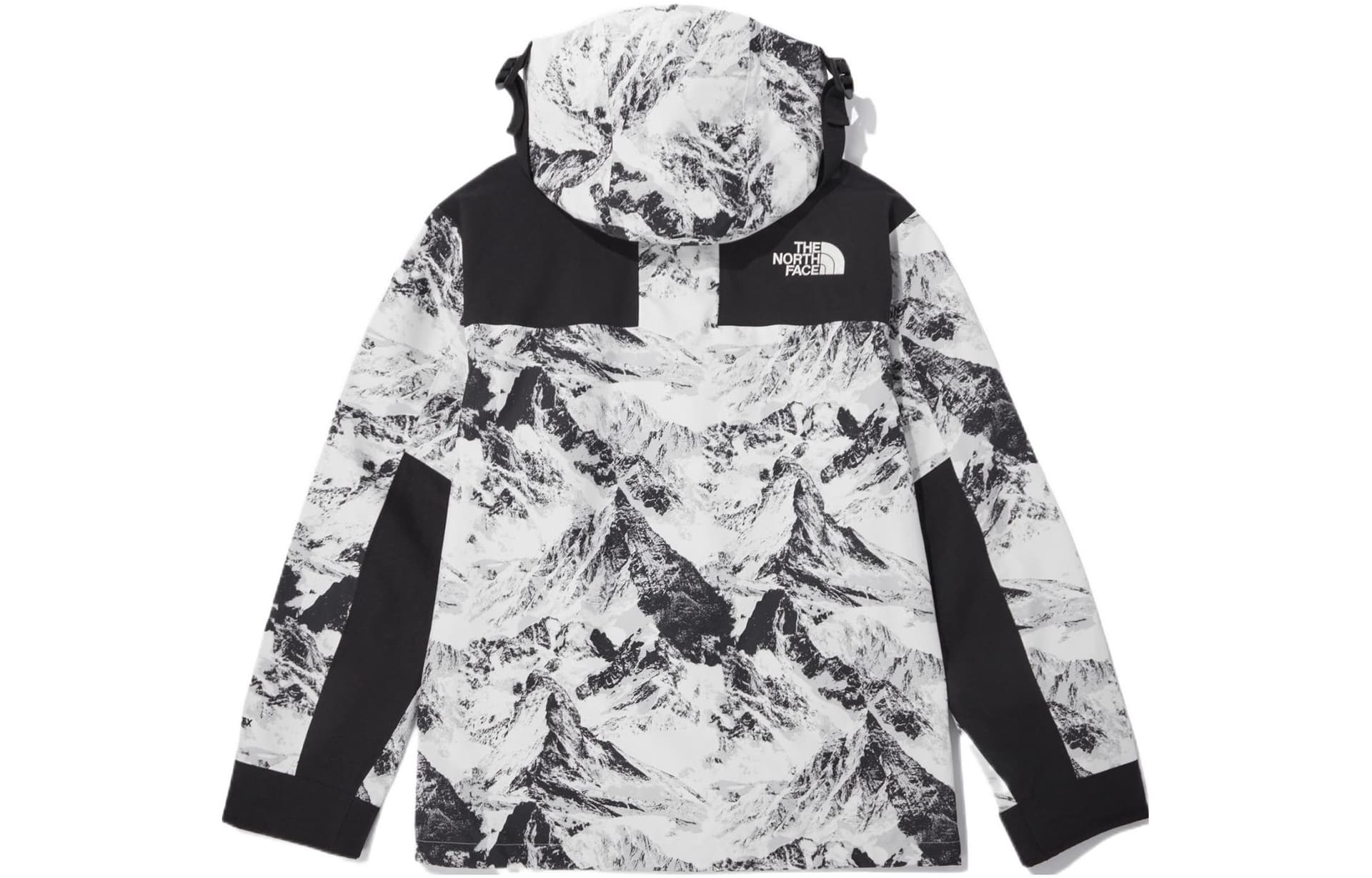 THE NORTH FACE Novelty Eco Gtx Mountain Jacket Nutral Gray Korea Version