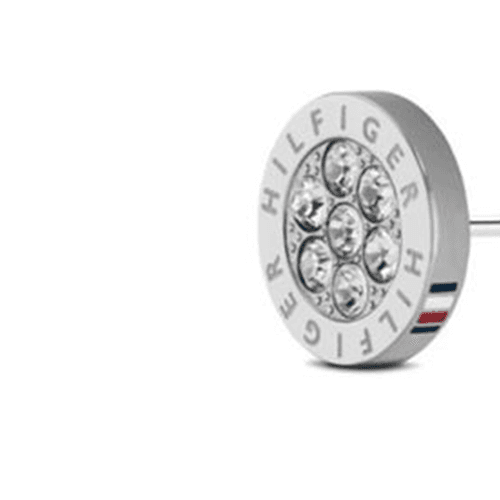 Tommy Hilfiger Stainless Steel Stud Earrings Silver