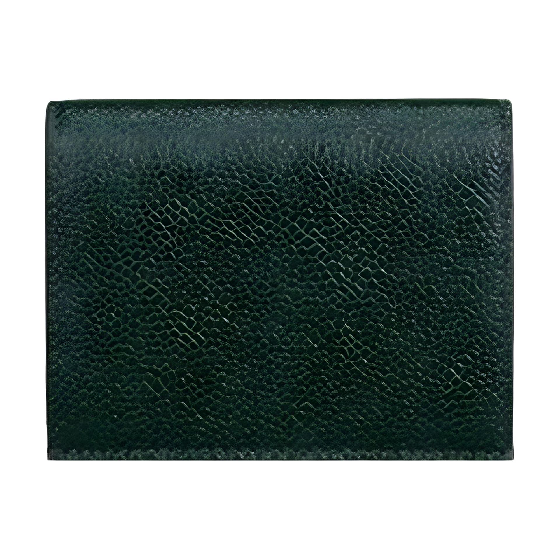 THOM BROWNE· Full grain Calf Card Holder Green Gift Set(Basic Set+Box+Shopping Bag)