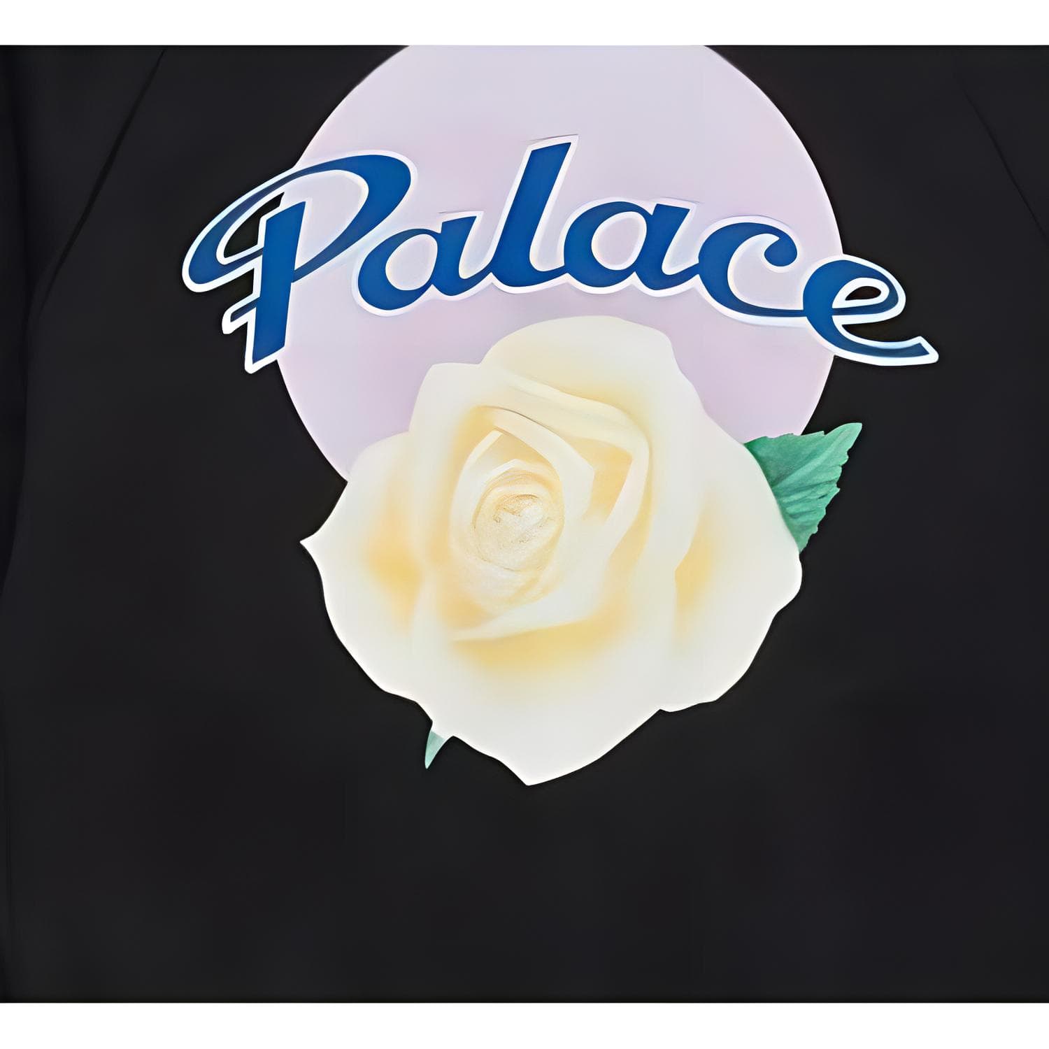 Palace Y 3 Track