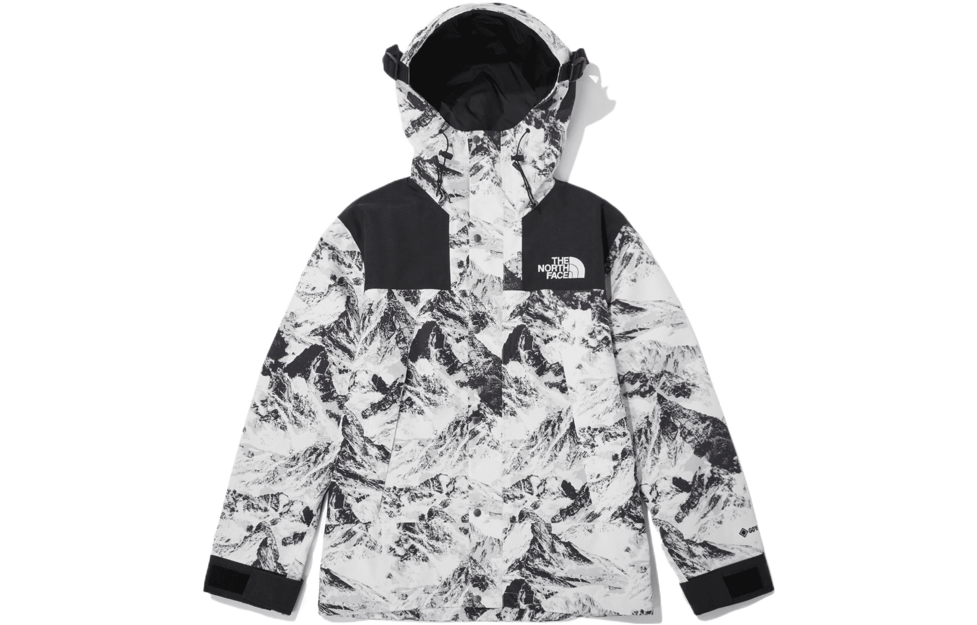 THE NORTH FACE Novelty Eco Gtx Mountain Jacket Nutral Gray Korea Version