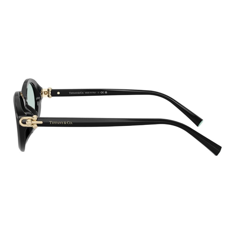 Tiffany & CO. Oval Frame Sunglasses