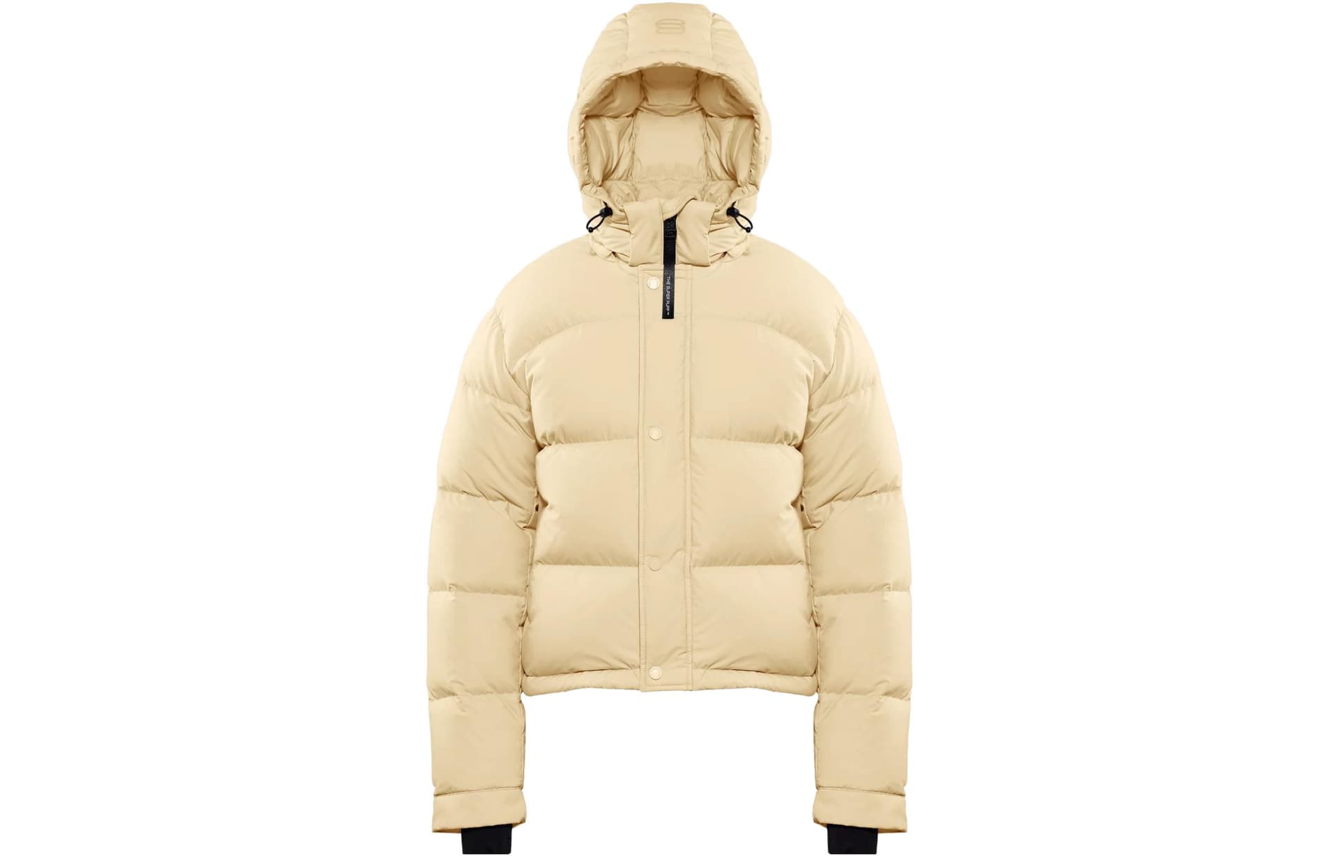 ARITZIA Down Jackets Hooded (Nondetachable) Moderate Other