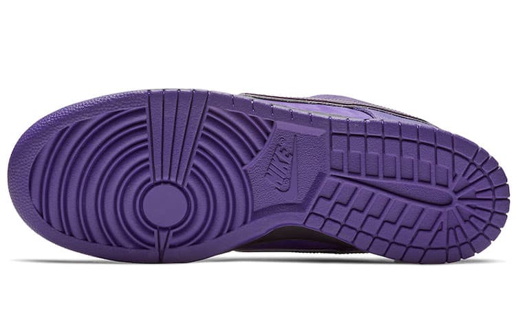 Nike SB Dunk Concepts Purple Lobster