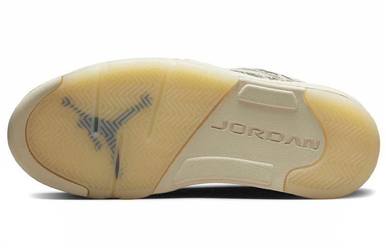 Air Jordan 5 Retro 'Expression'