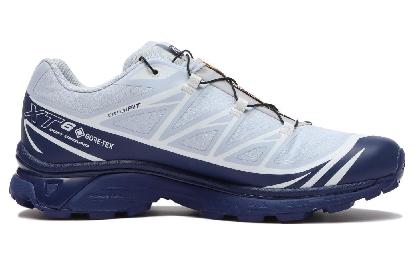 XT6 Salomon GORETEX 'Heather Blue Print'