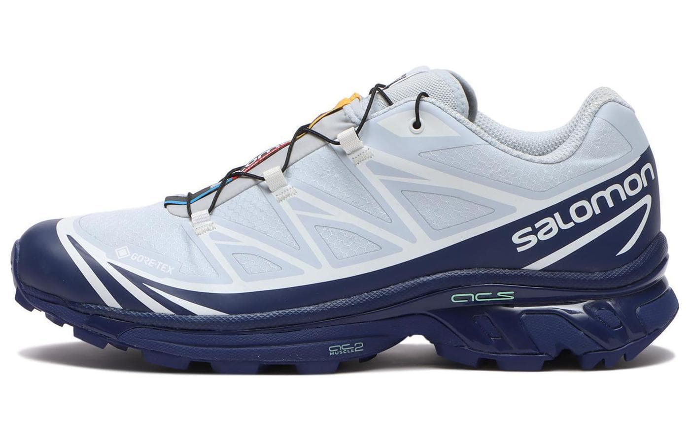 XT6 Salomon GORETEX 'Heather Blue Print'